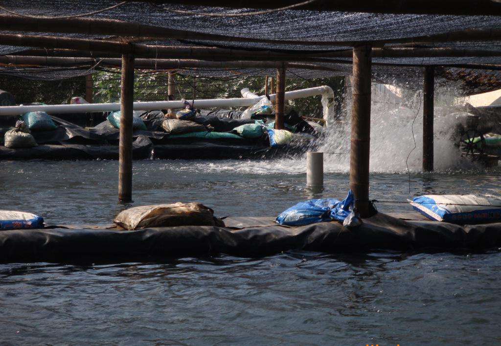 如何防止土工膜產生凍脹毀壞